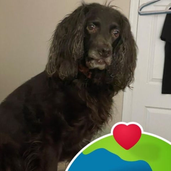 Meet your Posher, Mer - Picture 1 of 1